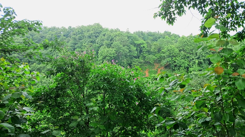 himchori pahar, himchori hill, himchari pahar, himchari hill cox's bazar